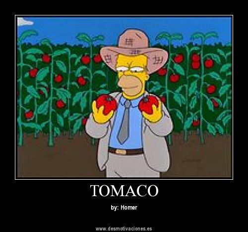 Foto Homer con tomates
